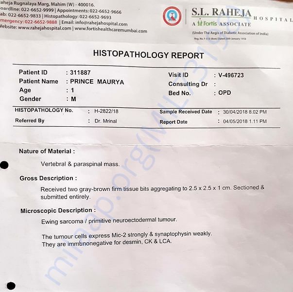 Medical Report