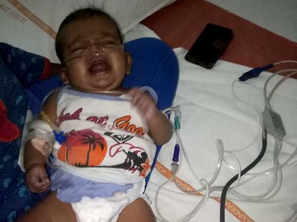 Please Help Priscilla!
