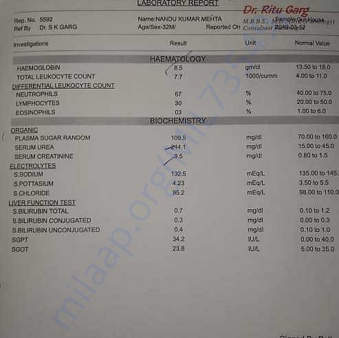 Medical Report