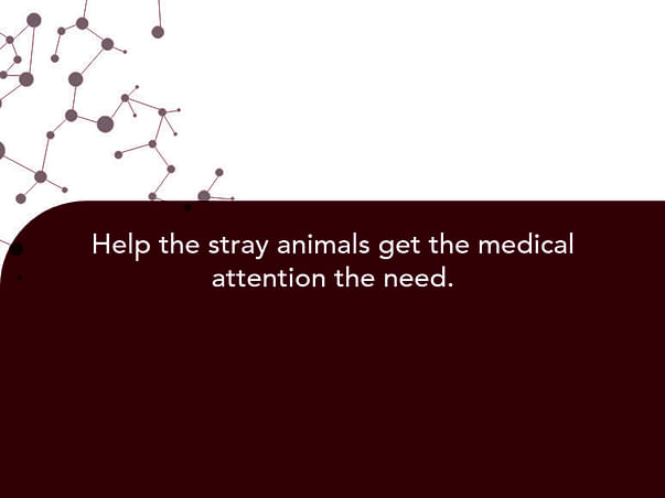Help the stray animals get the medical attention the need.