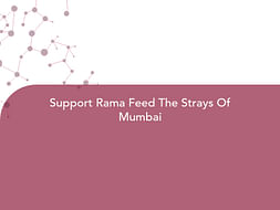 Support Rama Feed The Strays Of Mumbai