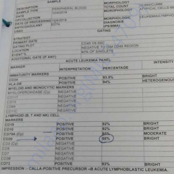 Medical Report