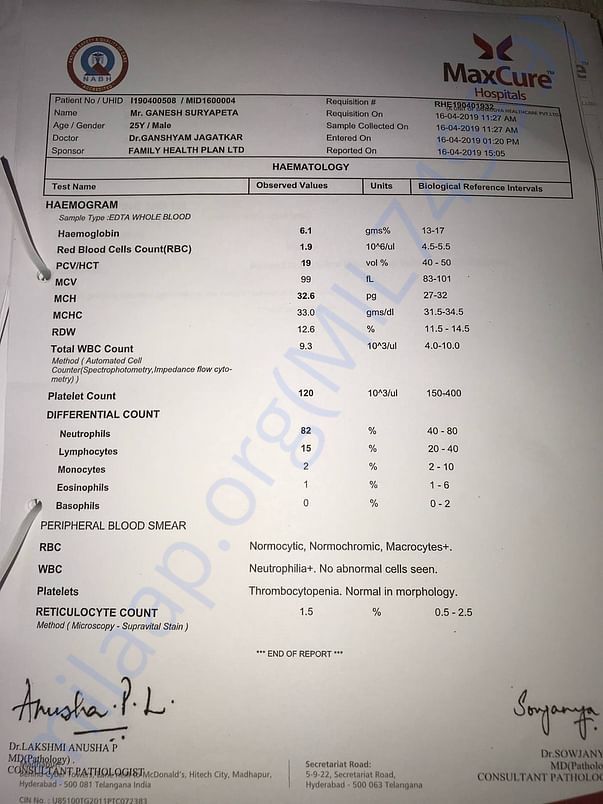 hematology report
