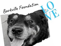 99 Barkville Expansion
