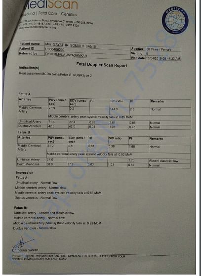 trimester scan report