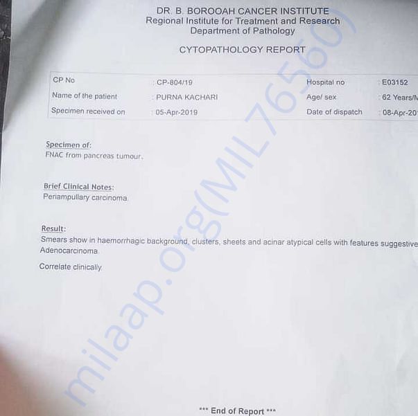 Medical Report