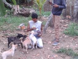 Cherai Tails -empowering pups for life.
vaccinate- sterilise-home