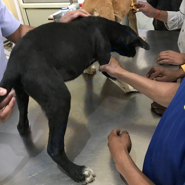 Alexa for her medical checkup