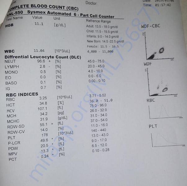 Medical Report