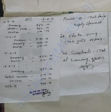 Medical Report