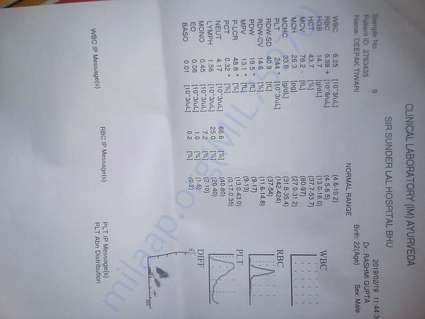 Blood test report