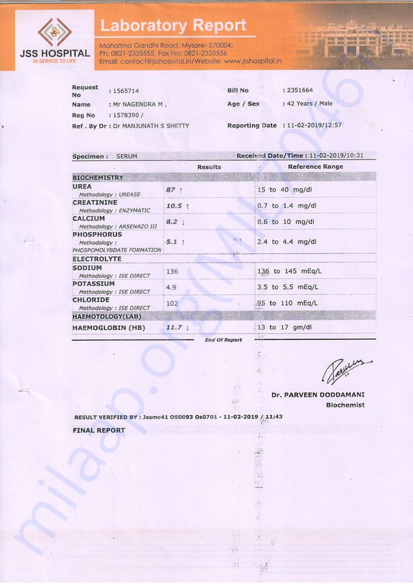 Blood report