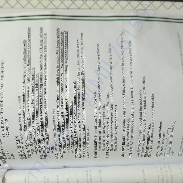 Admission letter