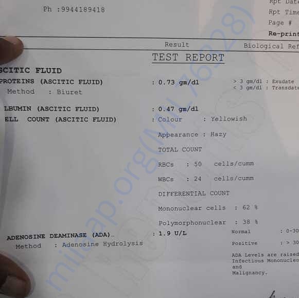 Medical Report