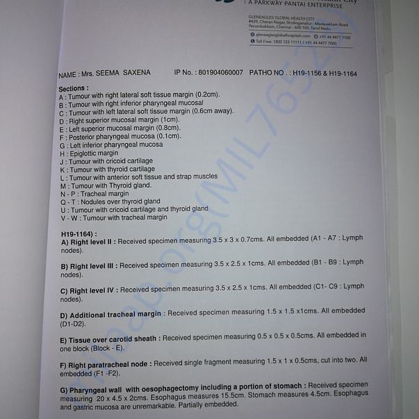 Medical Report