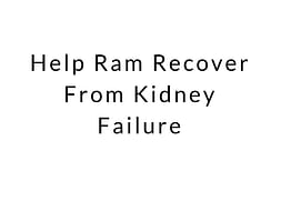 Help Ram Recover From Kidney Failure