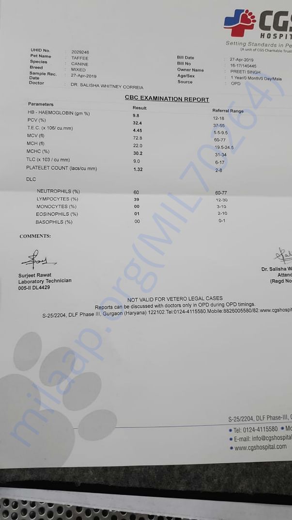 Rambo latest blood report