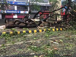 Help Odisha from Super-cyclone Fani