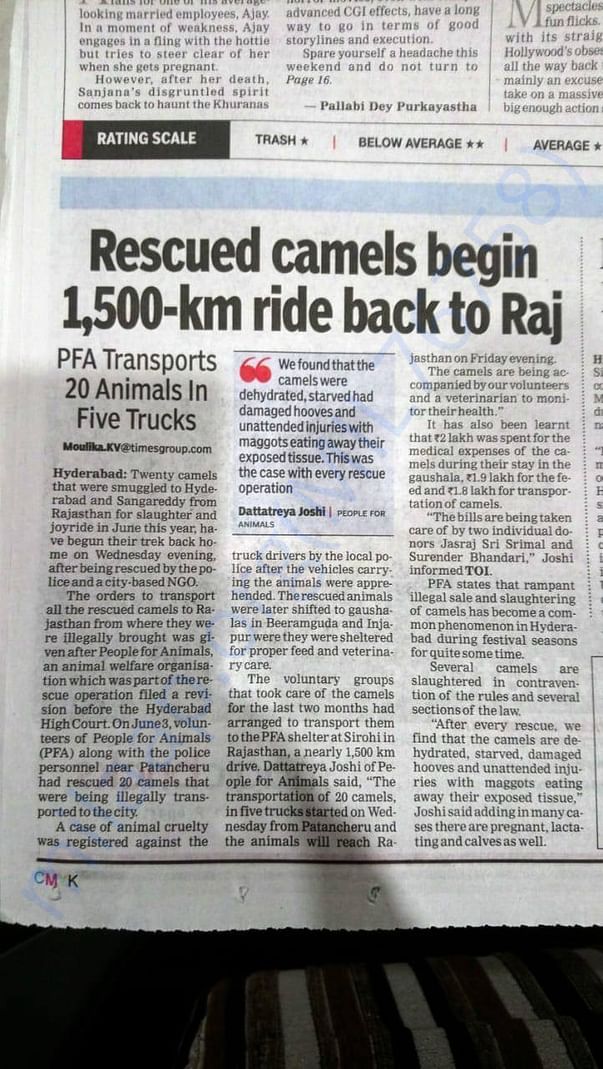 Newspaper article