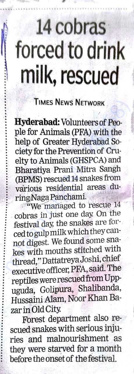 Newspaper article