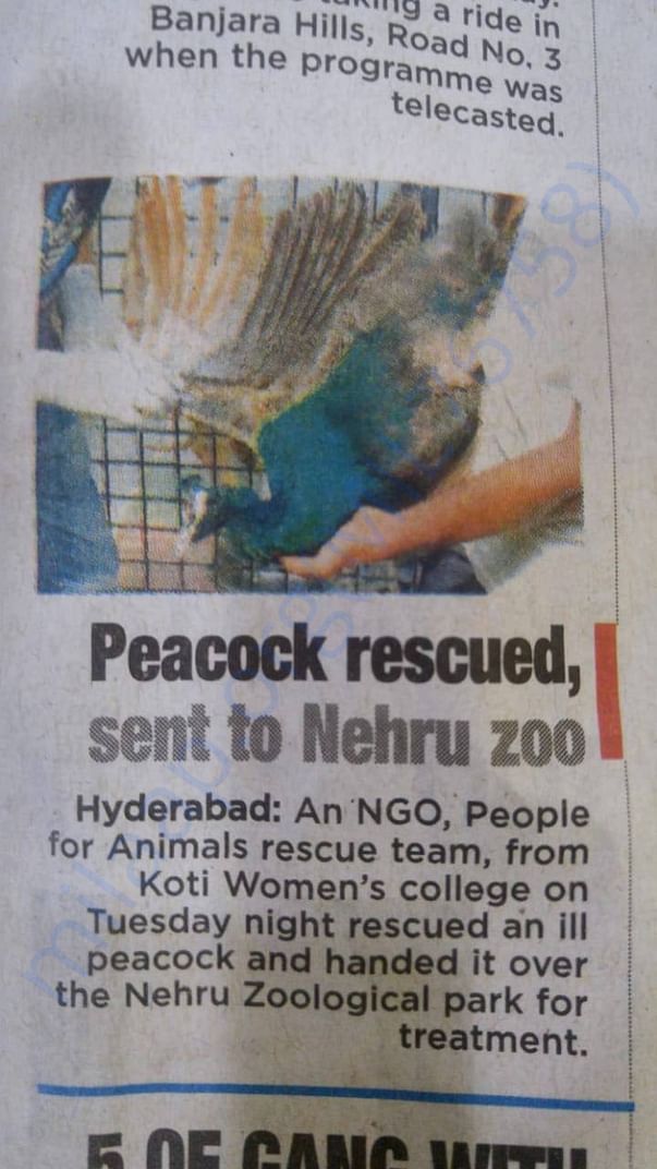 Newspaper article