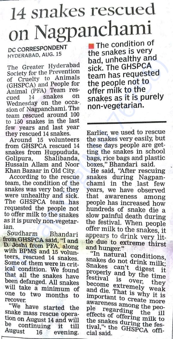 Newspaper article