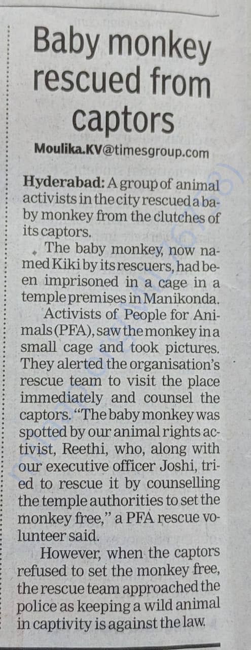 Newspaper article