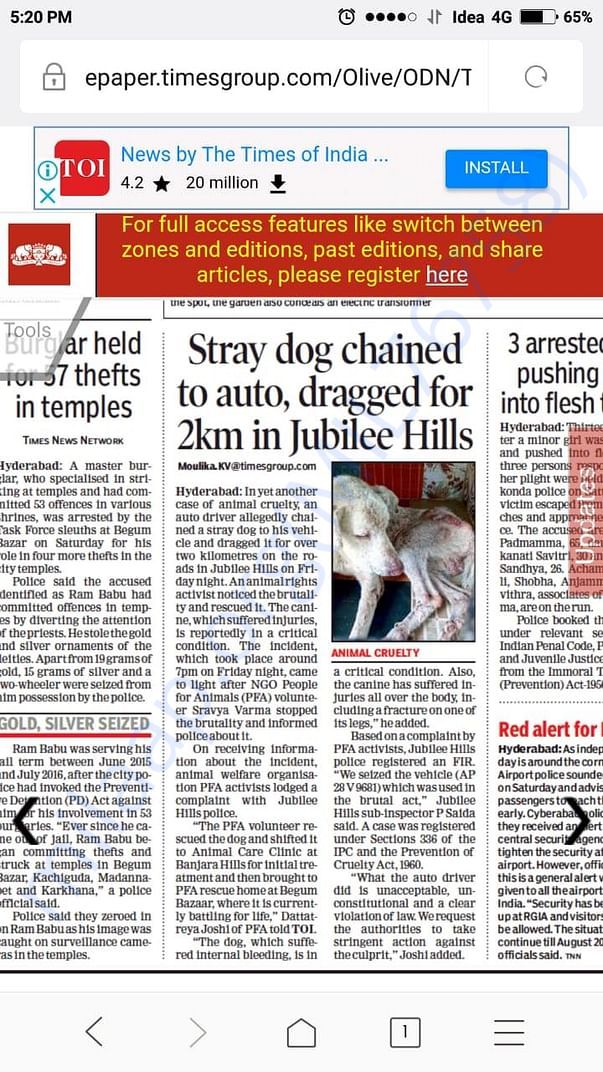 Newspaper article
