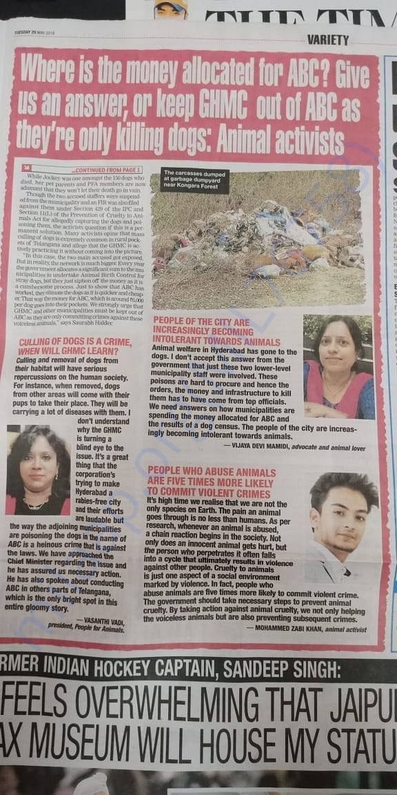 Newspaper article