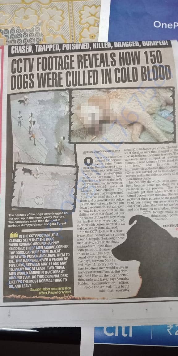 Newspaper article