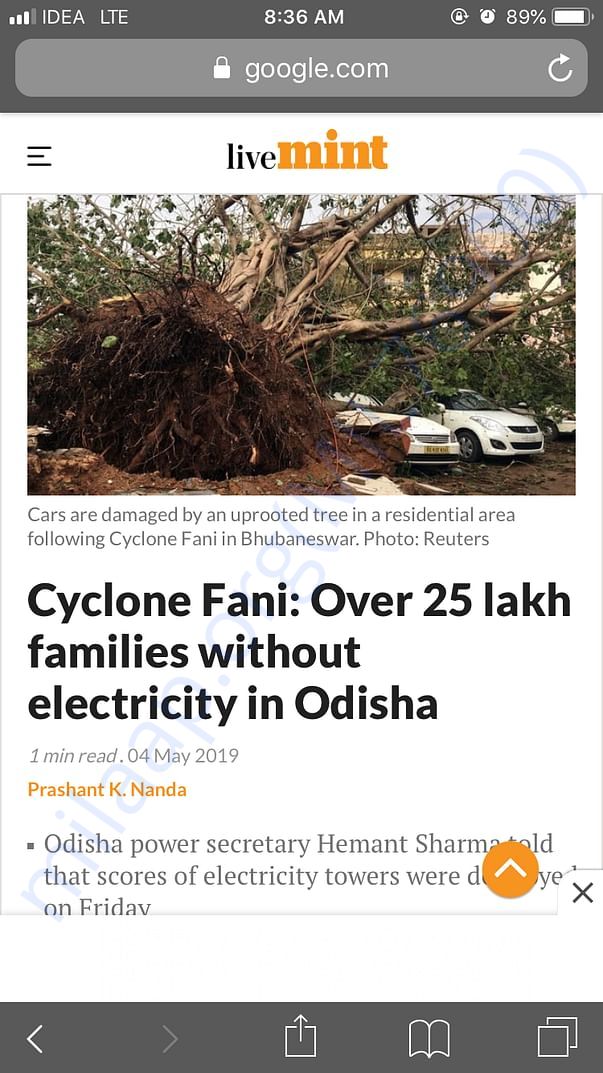 News cutting