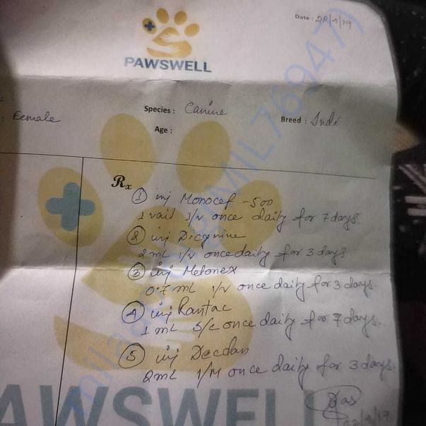 Medical Bill