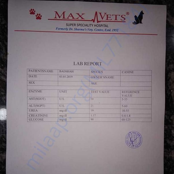 Medical Report