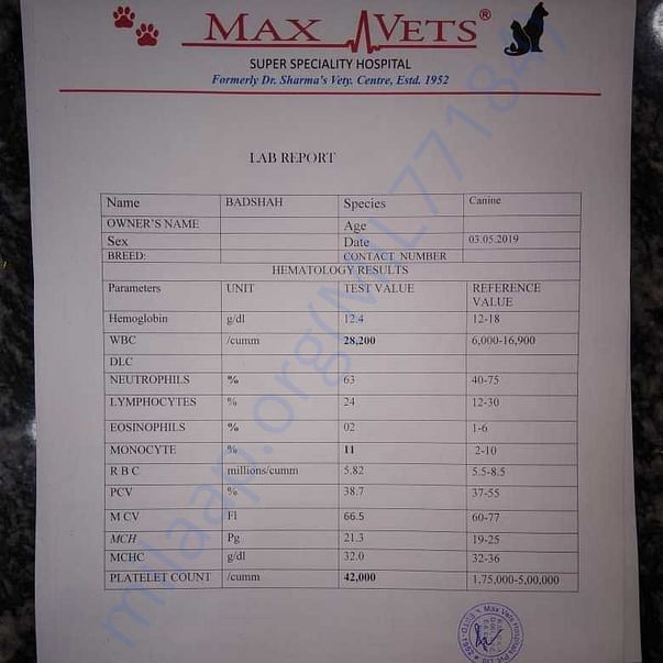 Medical Report