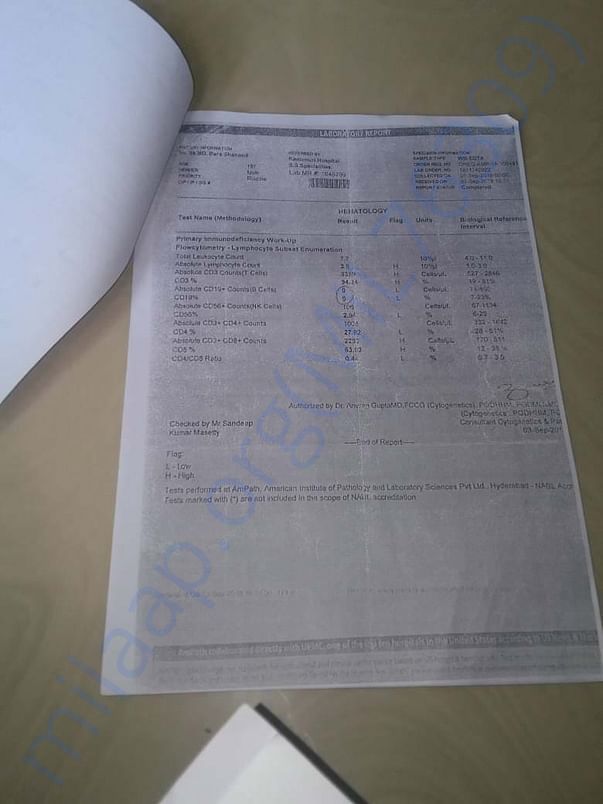 Test Report