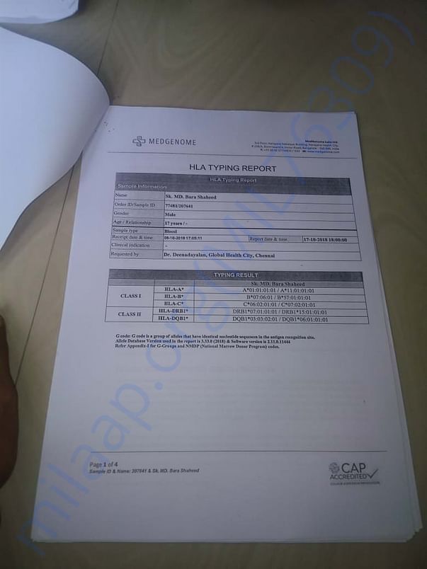 Test Report