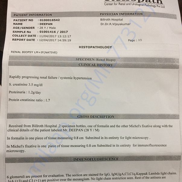 Medical Report