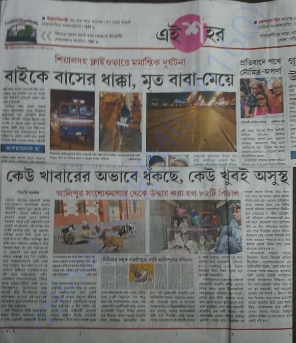 News clipping of 82 cat rescue from locked jail campus by LOVE N CARE