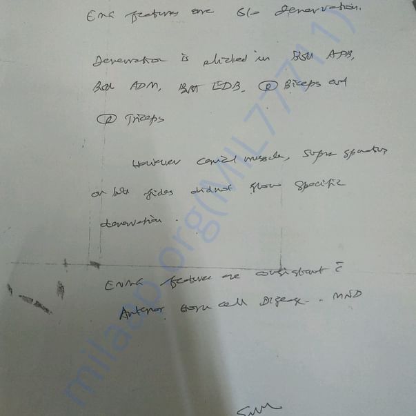 Medical Report