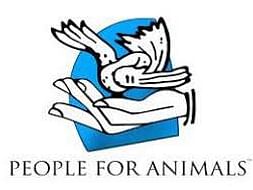 Raising money to help dogs