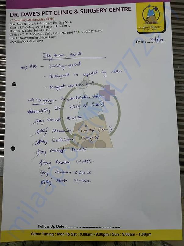 Jassi's Vet Clinic prescription