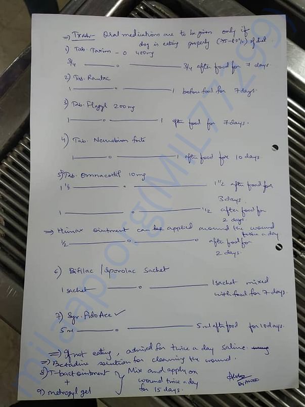 Jassis prescription for maggot wound and neurology problem