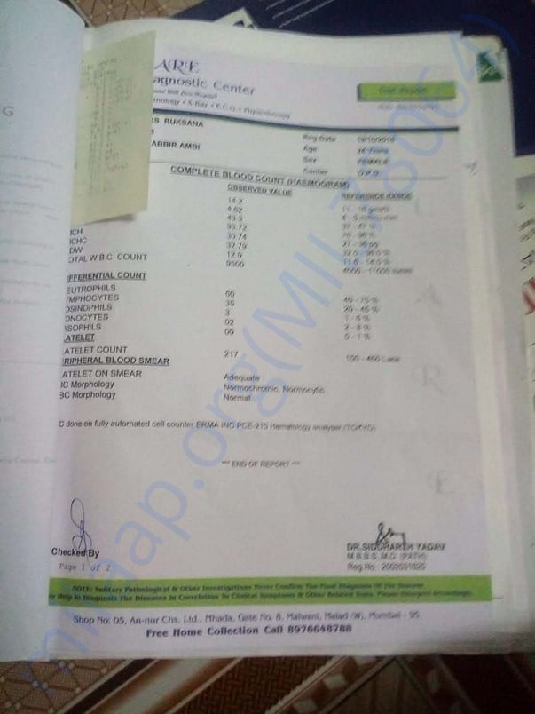 Old Reports
