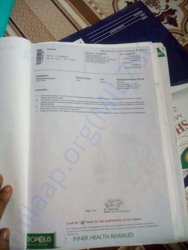 Old Reports