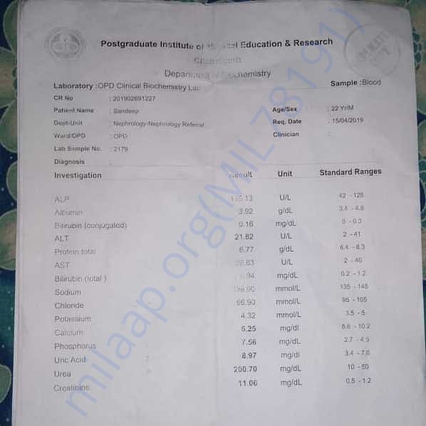 Medical Report