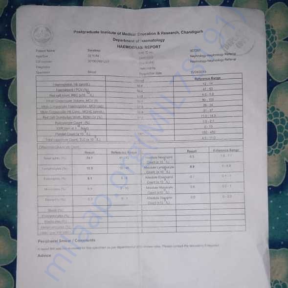 Medical Report