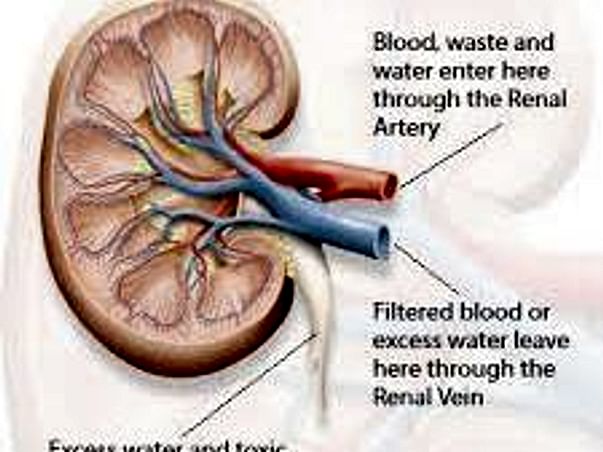 Help My Nephew Who Is Suffering From A Kidney Problem