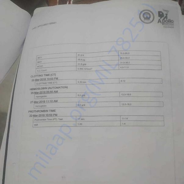 Medical Report