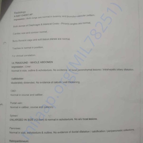 Medical Report