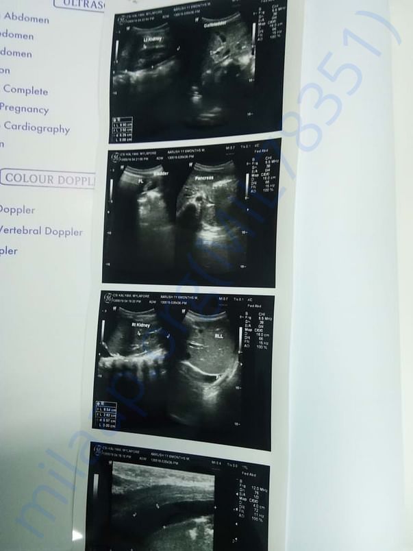 Scan Report